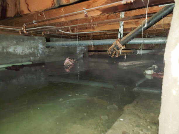 Best Emergency water damage restoration  in West Haverstraw, NY