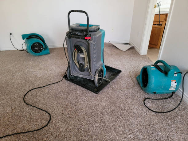 Best Water damage restoration process  in West Haverstraw, NY