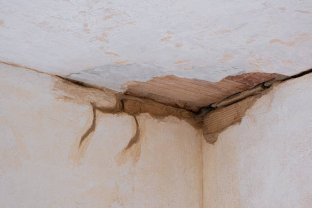 Best Flooded house restoration  in West Haverstraw, NY
