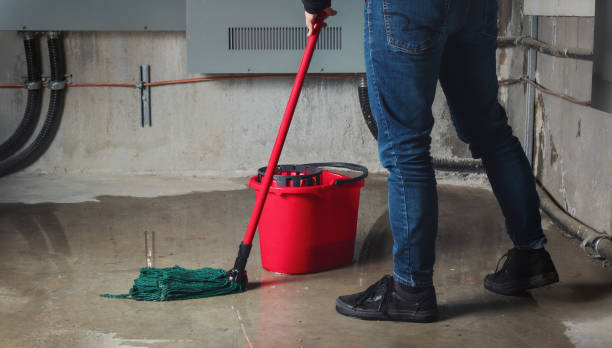 Best Water damage repair service  in West Haverstraw, NY