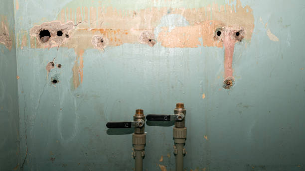 Best Flood restoration services  in West Haverstraw, NY