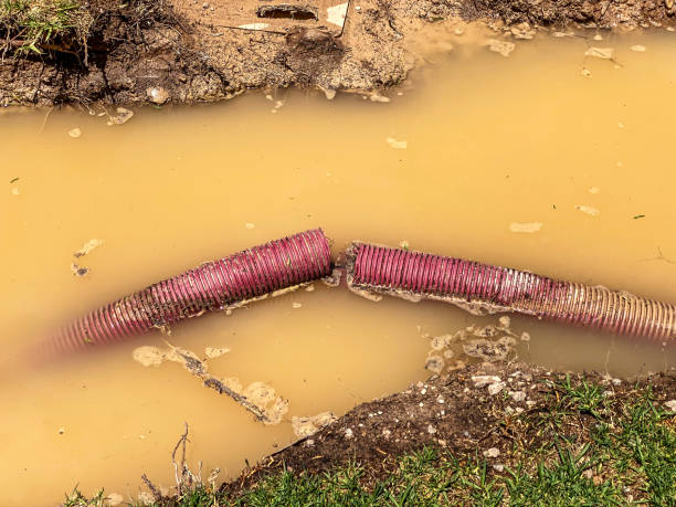 Best Water damage restoration near me  in West Haverstraw, NY