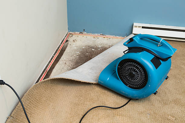 Best Water damage restoration near me  in West Haverstraw, NY